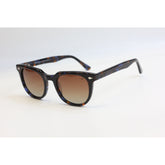 Tortoise Brown